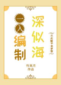 一入编制深似海by竹岚月TXT