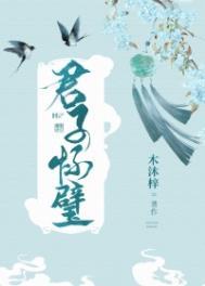 君子怀璧by木沐梓百度