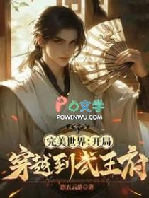 主角穿越到完美世界里的