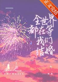 全世界都等着我们结婚全文免费