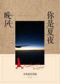 夏夜晚风遇见你