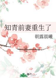 知青前妻重生了笔趣阁