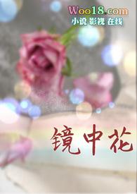 镜中花高干