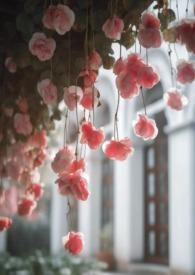 电影(无限)免费在线观看