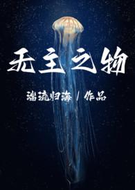 无主之主剧情介绍