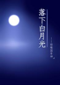 落下白月光讲什么