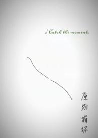 原则崩坏txt乌龟不高兴