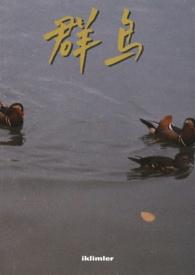群鸟飞鸣