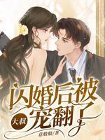闪婚大叔用力宠免费读