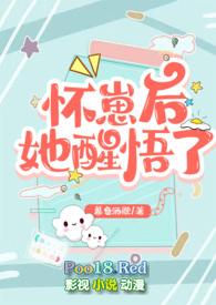怀崽后我和alpha闹离婚格格党