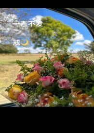 一言不发 意思
