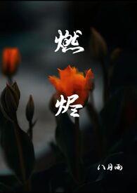 燃烬繁冬