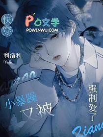 快穿小暴躁又被强制爱了(蓝止
