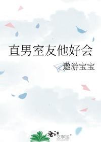室友他是直男斩是双洁吗