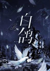 白鸽(强制) 作者 躺平的仙女