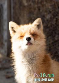 睡了反派男二之后(1v1)/岭南困了么无弹窗