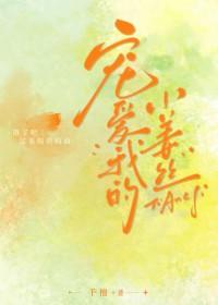 我宠爱的小丫头不见了陆历延时夏