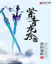 紫青龙吟记斜阳独醉是哪年开始写的