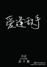爱逢敌手 作者季荭