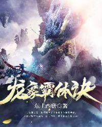 龙象霸体诀女主