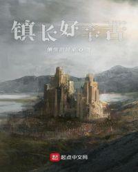 镇长一天在干什么