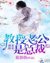 教授老公是总裁免费版零点