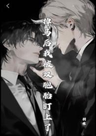 掉马后我成了宠妃晋江文学城