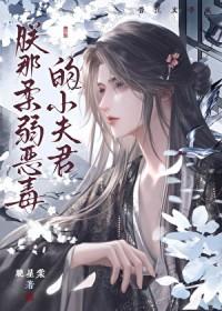 朕柔弱不能自理女尊