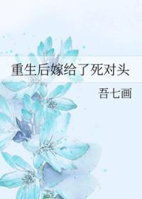 重生后嫁给了死对头txt