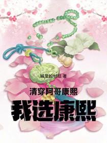 清穿之康熙和阿哥们np