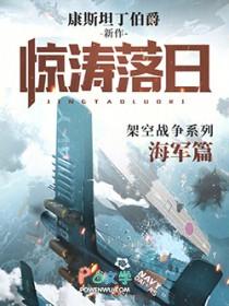 惊涛落日的作者