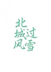 北城有雪免费阅读全文