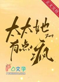 太太她有点疯笔趣阁