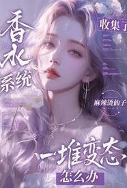 香水系统全文阅读