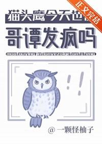 猫头鹰的cp