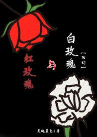 红玫瑰与白玫瑰免费阅读
