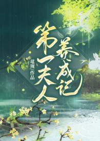 第一夫人完结