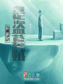 盗墓我是阿宁