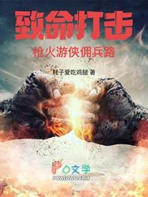 致命打击枪火游侠佣兵路全文TXT