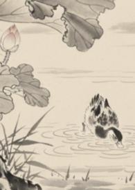 全京城都在等着我掉马