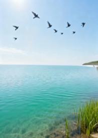 中文版归去来兮