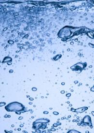 向死而生原话