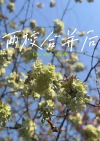 两校合并后 教师的岗位设置存在哪些问题呢