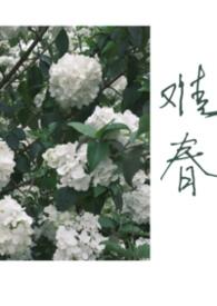 难兄难弟的作者