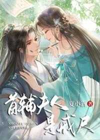 首辅夫人是戒尺的故事情节