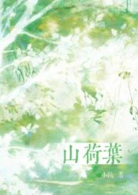 山荷叶花的寓意和象征