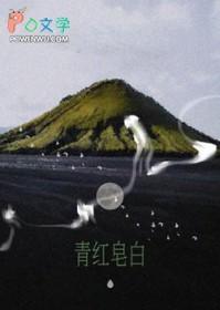 青红皂白的皂