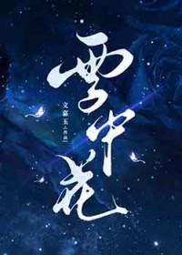雪中花的唯美句子