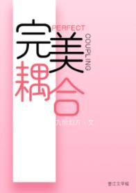 完美偶像百度百科