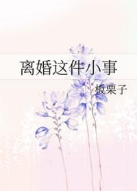 离婚这件小事by板栗子